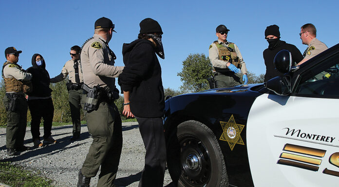 pajaro levee cleanup