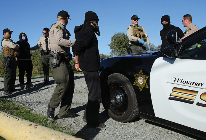 pajaro levee cleanup