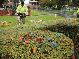 holiday lights watsonville