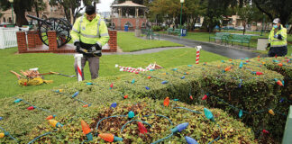 holiday lights watsonville