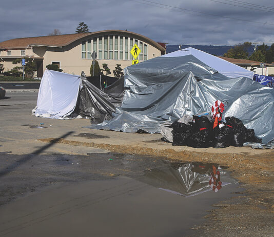 watsonville homeless