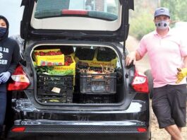 Farm Discovery at Live Earth celebrates the giving season