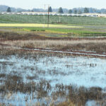 Image for display with article titled PV Water calls for bids to construct College Lake project
