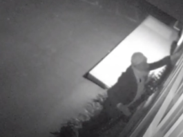 Watsonville police seek burglar caught on camera Watsonville burglar