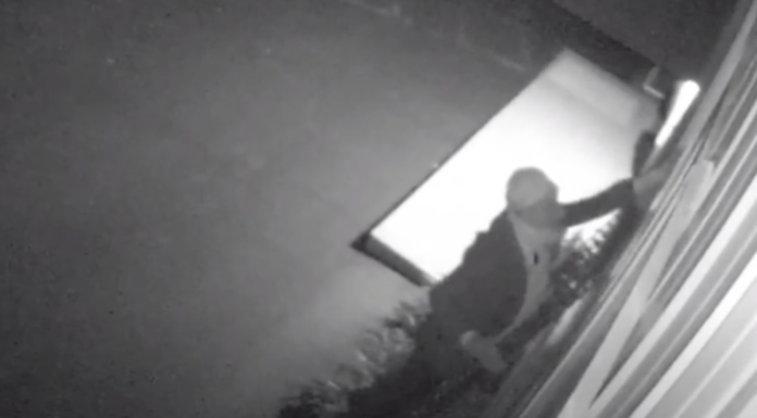 Watsonville burglar