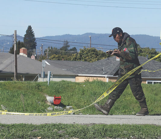 watsonville homeless camp