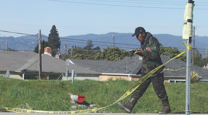 watsonville homeless camp