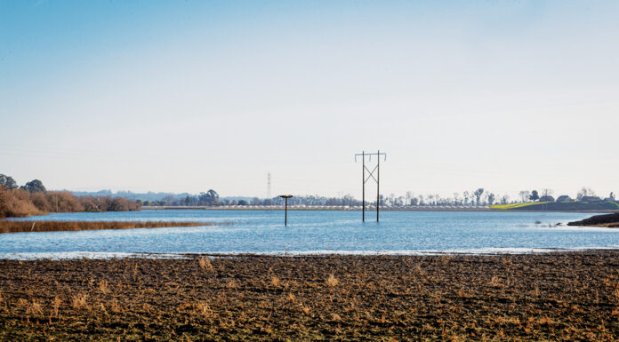 pajaro valley water