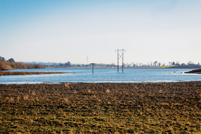 pajaro valley water