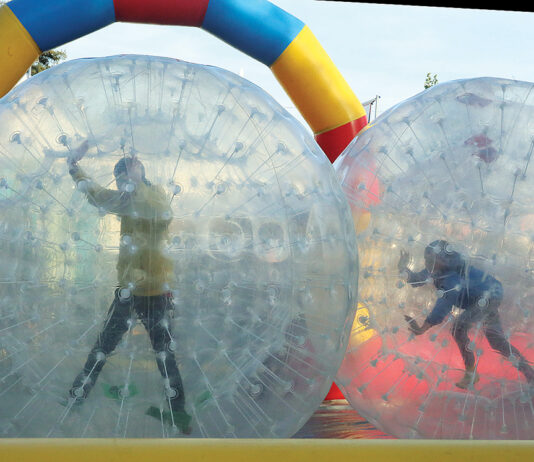 santa cruz county fair