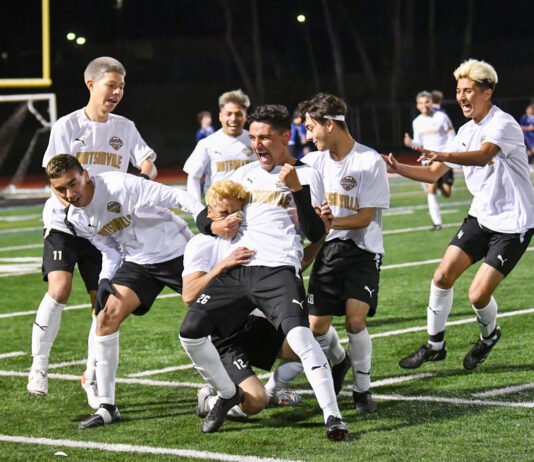 ‘Catz handle top-seeded Branham to capture Open Division title | CCS boys soccer