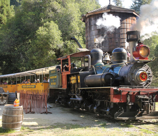 roaring camp rtc