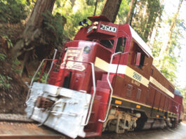 roaring camp
