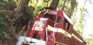 roaring camp