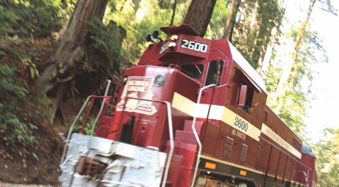 roaring camp