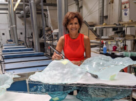 Annieglass watsonville