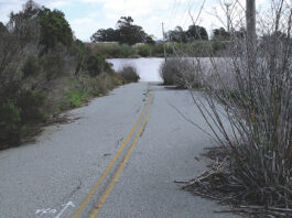 Watsonville Lee road trail