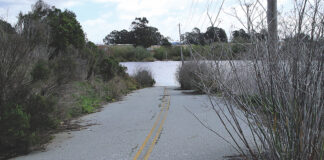 Watsonville Lee road trail