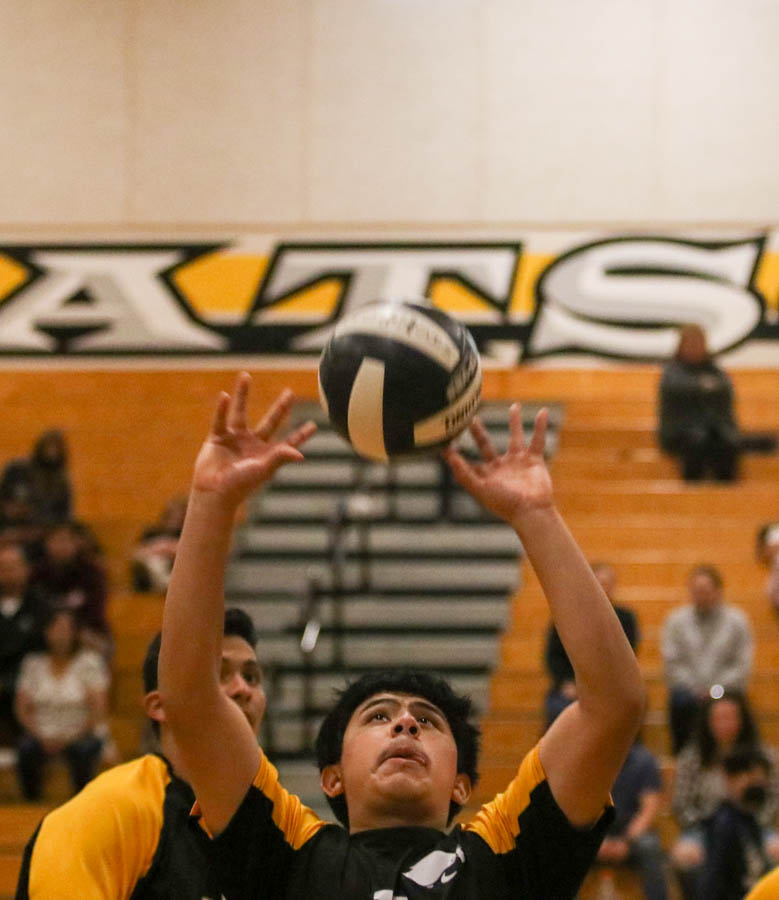 ‘Catz on the hunt for multiple championships | Boys volleyball - The ...
