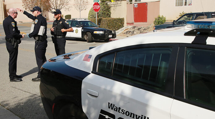 Watsonville stabbing