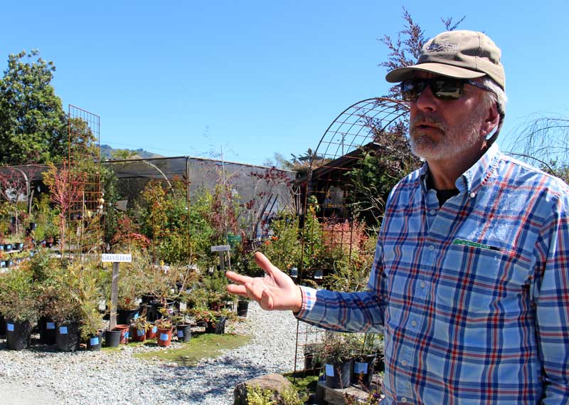 Plant nursery prepares for springtime rush