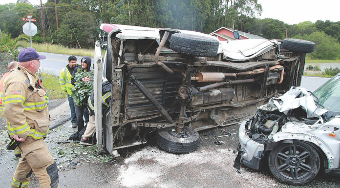 elkhorn crash