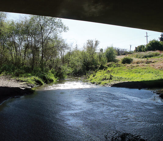 Pajaro River levee