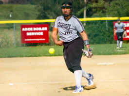 Condors soar to victory over St. Francis | High school softball