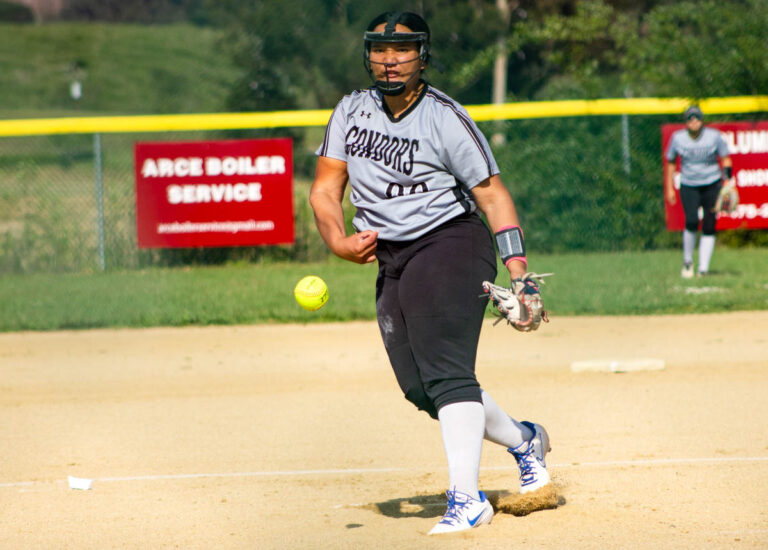 Condors soar to victory over St. Francis | High school softball