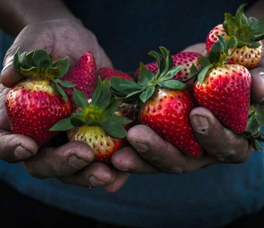 Student’s photograph garners national attention