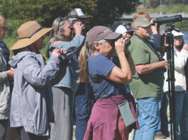 Adult Ed classes offer birding tours, education
