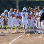 Image for display with article titled ‘Catz earn top seed in CCS D-II field | High school softball