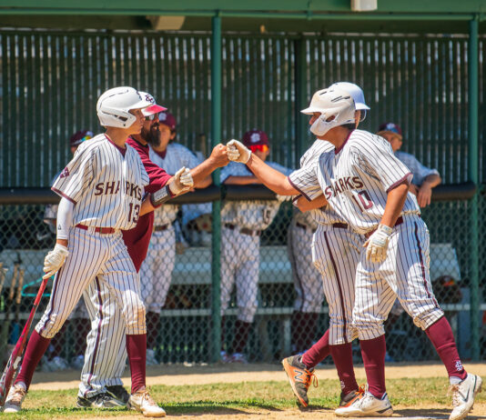 No mercy: St. Francis pounds Soledad to reach CCS title game | High school baseball