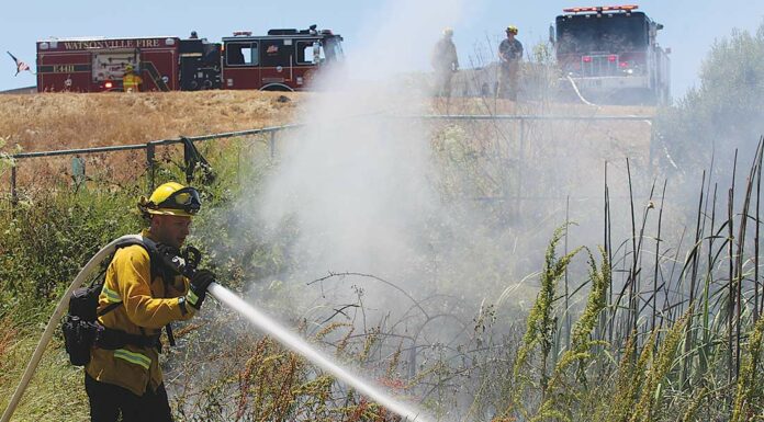 watsonville slough brush fire