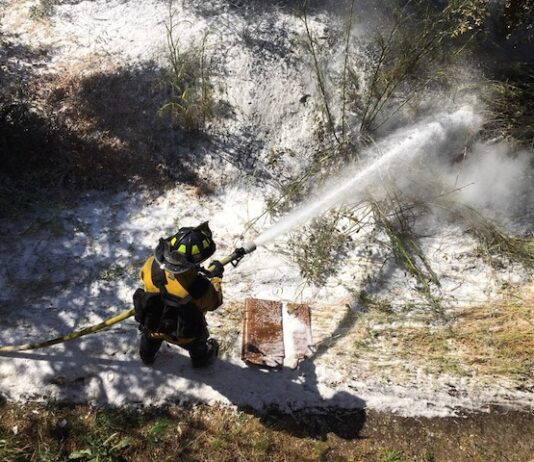 Photo: Firefighters quickly tame wildland blaze