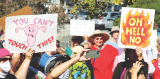 roe v wade santa cruz county