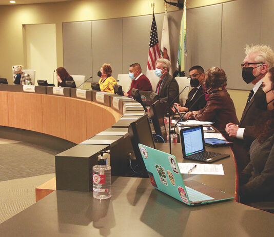 Watsonville city council