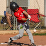 Photos: Padres win Pajaro Valley Little League championship - The  Pajaronian