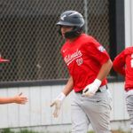 Photos: Padres win Pajaro Valley Little League championship - The  Pajaronian