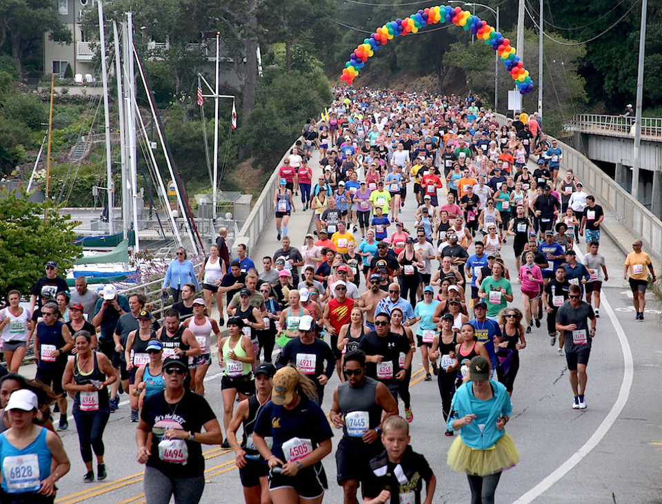 Wharf to Wharf Race returns after two year hiatus Press Banner