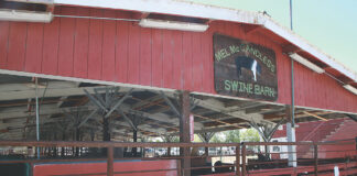 Santa Cruz County Fair Board