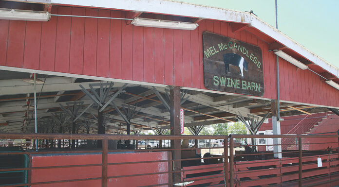 Santa Cruz County Fair Board