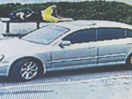 watsonville purse snatcher