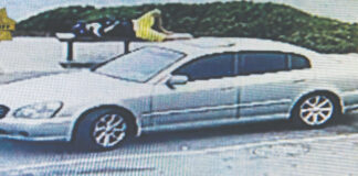 watsonville purse snatcher