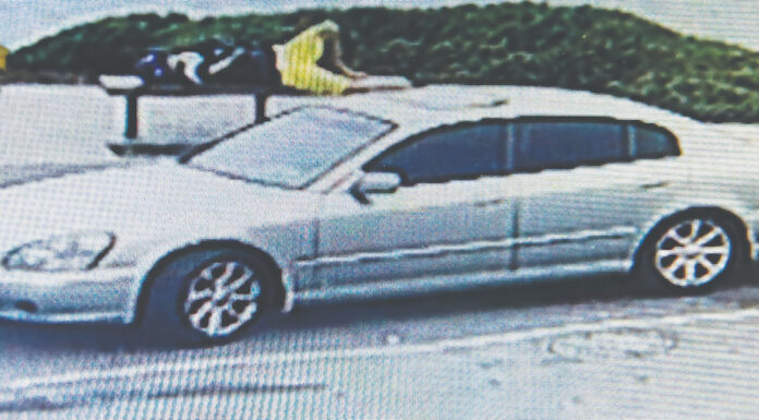 watsonville purse snatcher