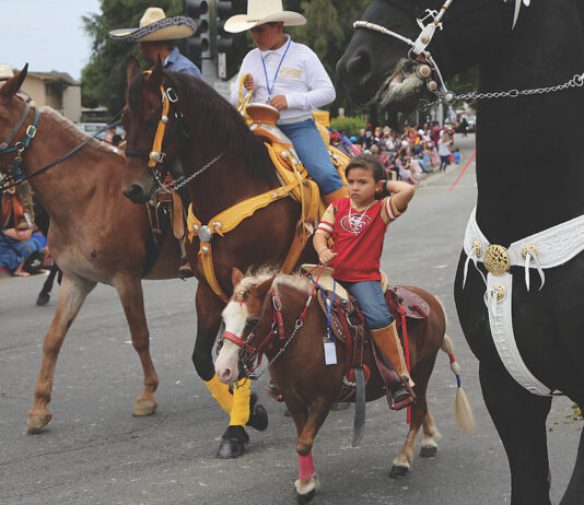 Watsonville parade