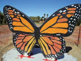 PHOTO: Public invited to help complete Covid memorial this weekend