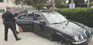 watsonville hit and run