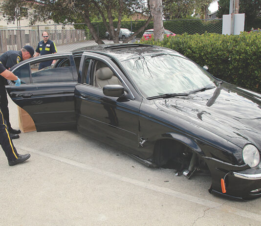 watsonville hit and run