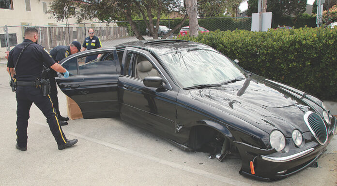 watsonville hit and run